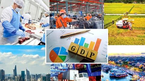 WB: Kinh tế Việt Nam đang hồi phục tăng trưởng