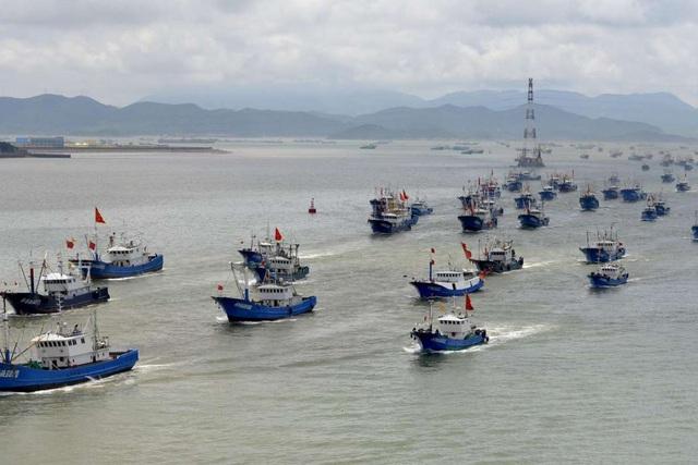 Tàu cá Trung Quốc ồ ạt tràn xuống Biển Đông sau thời hạn cấm đánh bắt - 1