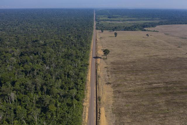Rừng nhiệt đới Amazon thải ra nhiều khí nhà kính hơn lượng hấp thụ - Ảnh 1.