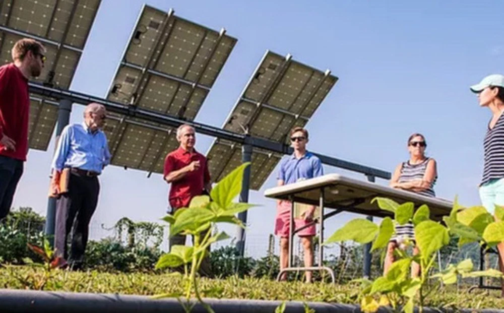 Điện nông: Những cánh đồng năng lượng mặt trời bốn trong một của thế hệ trẻ