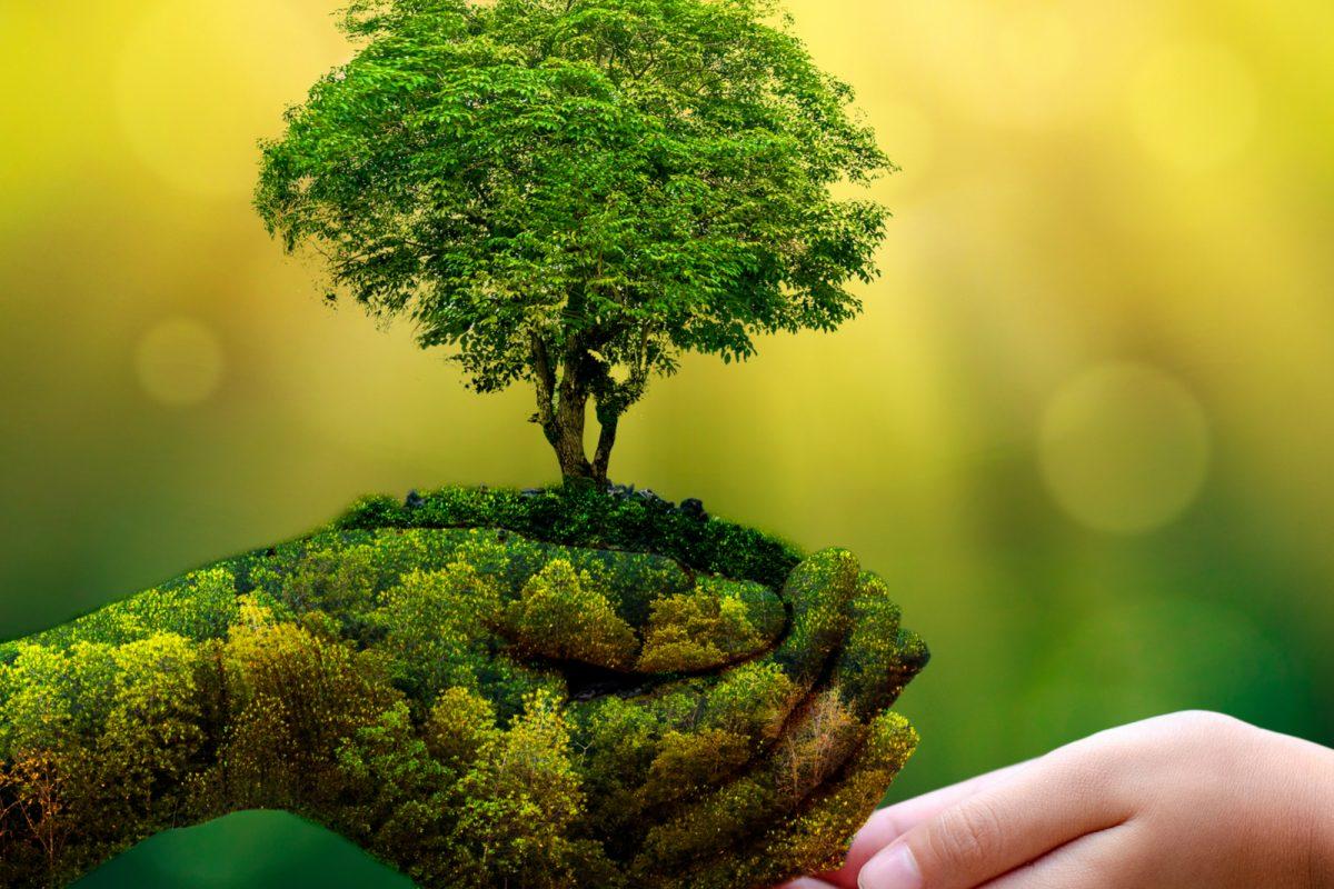 Làm sao để con người có thể sống hài hòa với thiên nhiên?