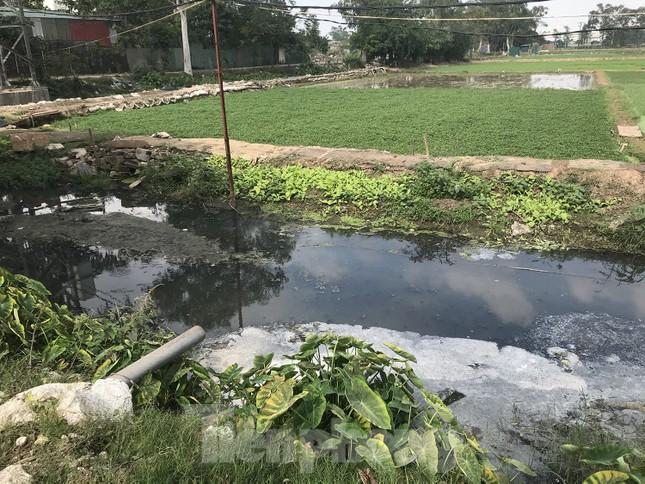 Hà Nội quyết 'hồi sinh' các dòng sông: Lời 'kêu cứu' từ những 'xóm nước đen' ảnh 1