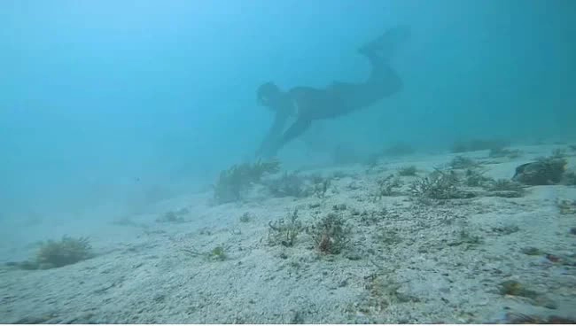 Trước cả dầu mỏ, kho báu dưới đáy biển sâu này mới là thứ mang lại sự giàu có cho Qatar trong hàng nghìn năm - Ảnh 1. Trước cả dầu mỏ, kho báu dưới đáy biển sâu này mới là thứ mang lại sự giàu có cho Qatar trong hàng nghìn năm - Ảnh 1.