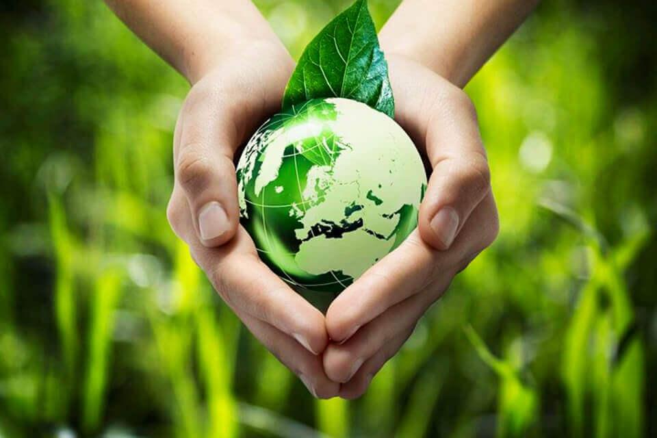 Thay đổi lối sống là cách tốt nhất để bảo vệ môi trường