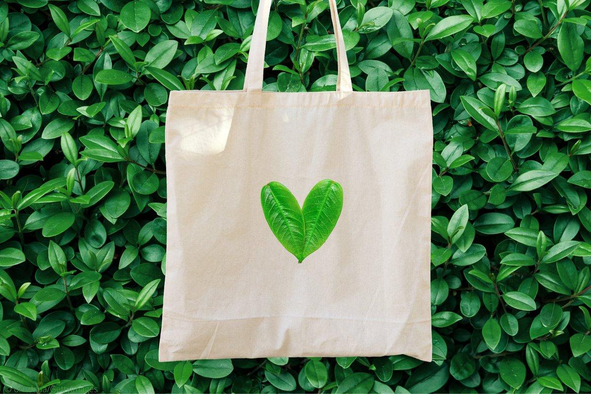 Cách chuẩn bị một chiếc túi ‘xanh’ để xây dựng một thế giới ‘sạch’