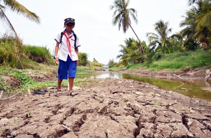 Khô hạn kéo dài khiến dòng kênh ở thị trấn Trần Văn Thời, Cà Mau, cạn trơ đáy, tháng 3/2024. Ảnh: Chúc Ly