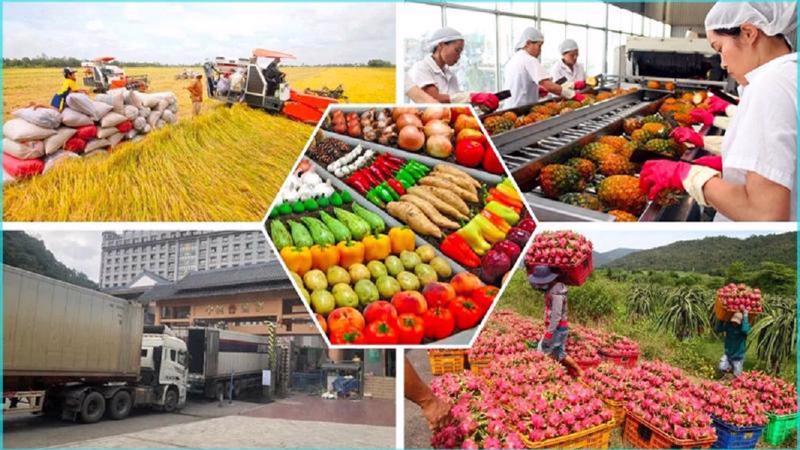 Xuất khẩu nông sản là điểm sáng trong năm 2023.