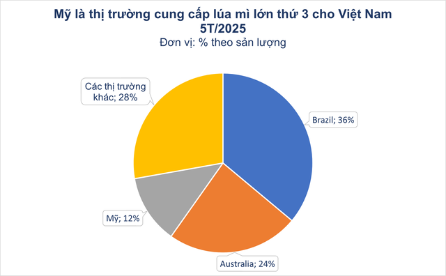 Hàng trăm nghìn tấn 'hạt vàng' từ Mỹ ồ ạt đổ bộ Việt Nam với giá cực rẻ: thuế nhập khẩu 0%, là thứ cả thế giới thèm khát - Ảnh 2.