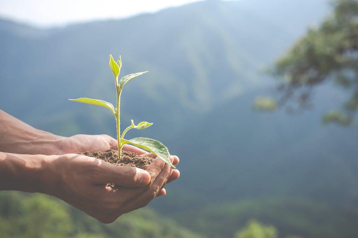 Agroecology – chìa khóa cho sản xuất nông nghiệp ứng phó với biến đổi khí hậu