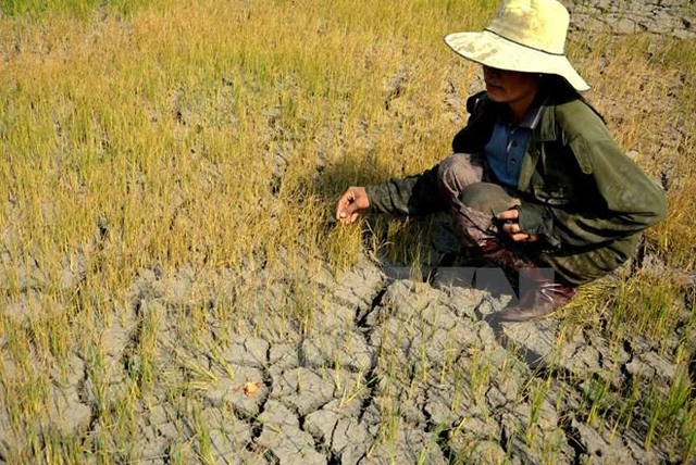 Hiện tượng lạ thường diễn ra giữa mùa mưa ở Nam Bộ: Thời gian ngắn nhưng ảnh hưởng không nhỏ - Ảnh 4.