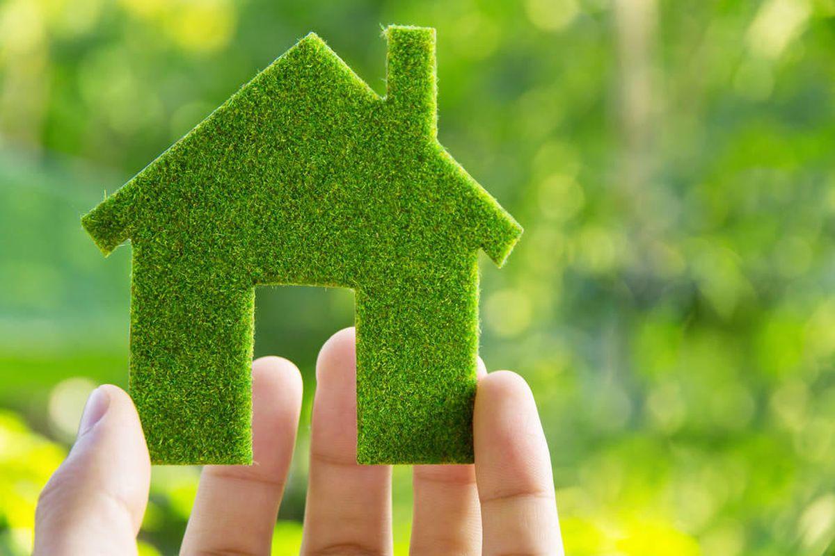 Thực hành sống xanh bảo vệ môi trường là lựa chọn của người có lương tri