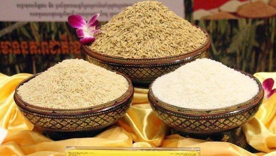 chu dong da dang thi truong, xay dung loi the canh tranh tu thuong hieu gao viet hinh anh 1