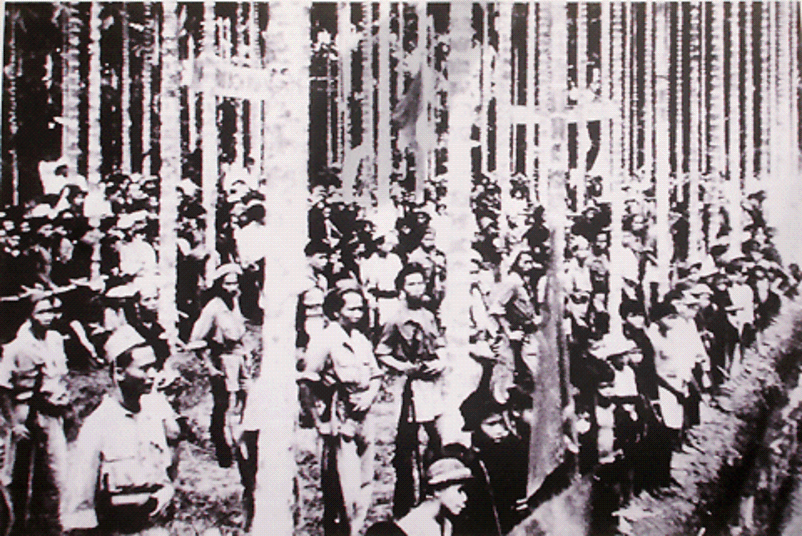 Tình thế hiểm nghèo của dân tộc và ngày Nam bộ kháng chiến 23/9/1945