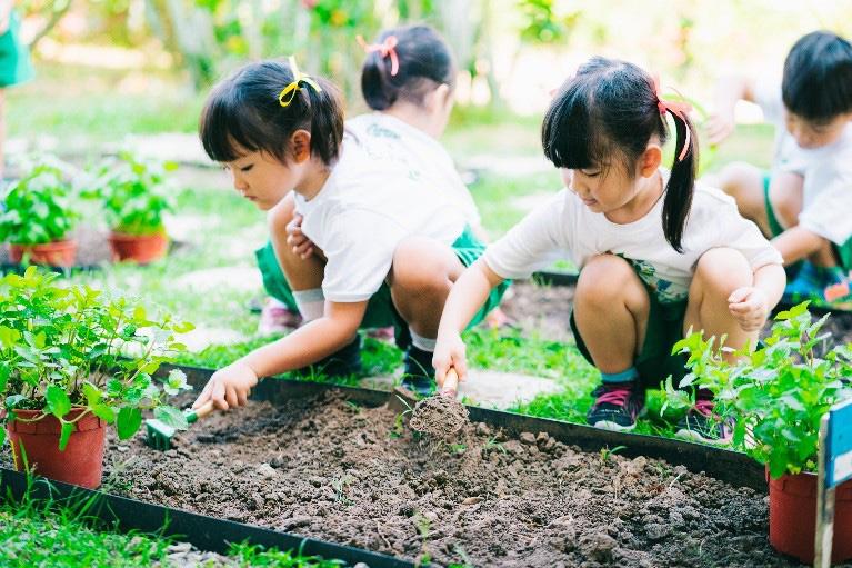 Bảo vệ môi trường phải bắt đầu từ mỗi gia đình