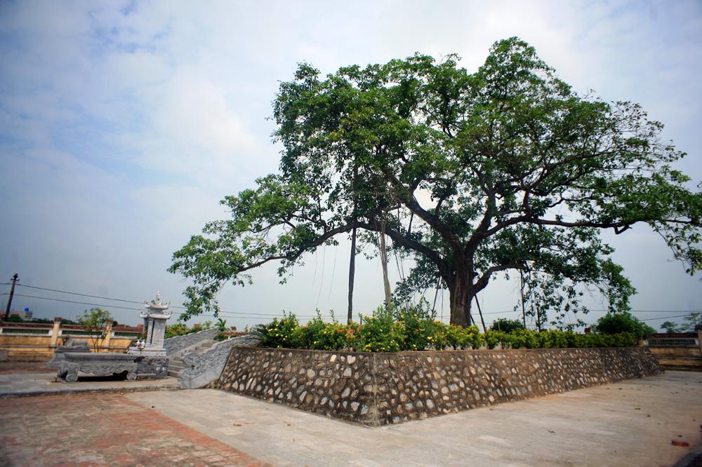 Nhìn về Trần Thủ Độ dưới khía cạnh thủ lĩnh cải cách của nhà Trần