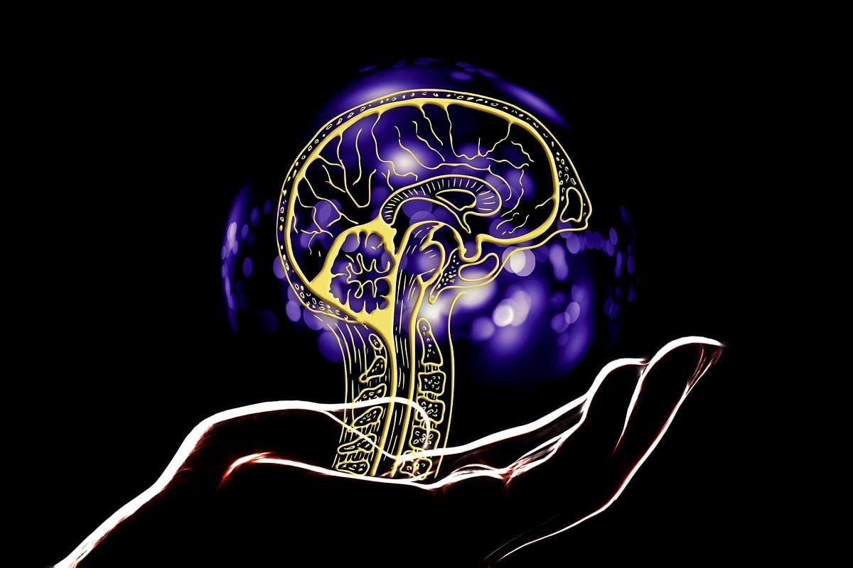 Có khai trí đất nước mới cất đầu lên được Có khai trí đất nước mới cất đầu lên được