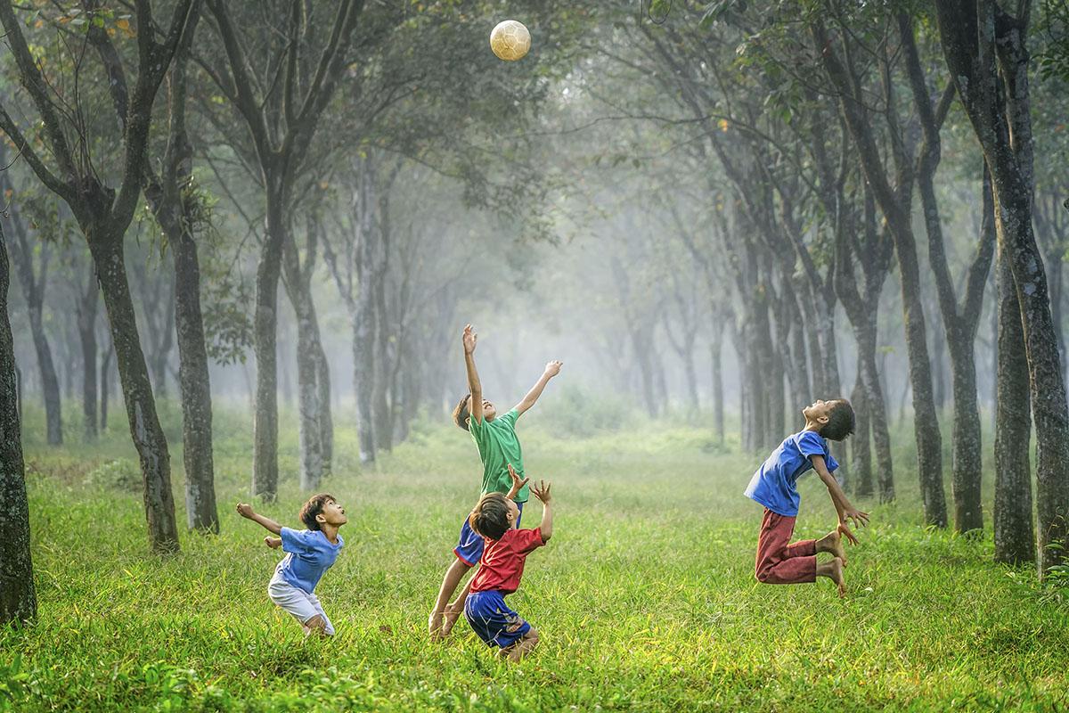 Cái nhìn biện chứng về vấn đề an ninh sinh thái Cái nhìn biện chứng về vấn đề an ninh sinh thái