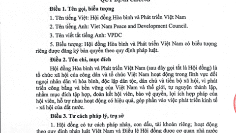 Điều lệ tổ chức và hoạt động của Hội đồng Hòa bình và Phát triển Việt Nam (VPDC)