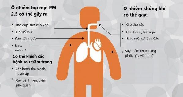 Ô nhiễm không khí có tác động như thế nào đến sức khỏe con người? - Ảnh 1